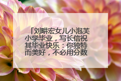 刘畊宏女儿小泡芙小学毕业，写长信祝其毕业快乐：你独特而美好，不必用分数证明自己