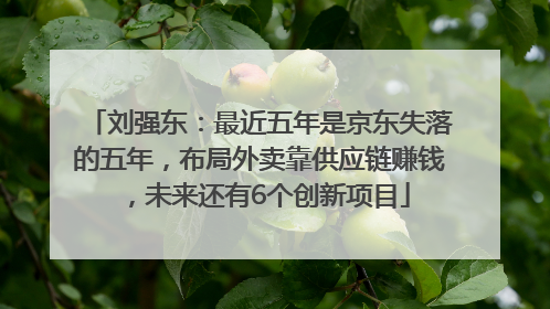 刘强东：最近五年是京东失落的五年，布局外卖靠供应链赚钱，未来还有6个创新项目