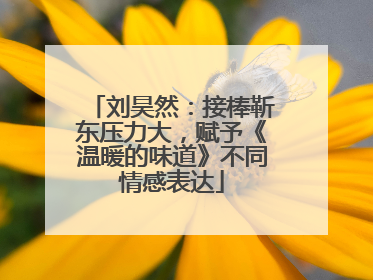 刘昊然：接棒靳东压力大，赋予《温暖的味道》不同情感表达