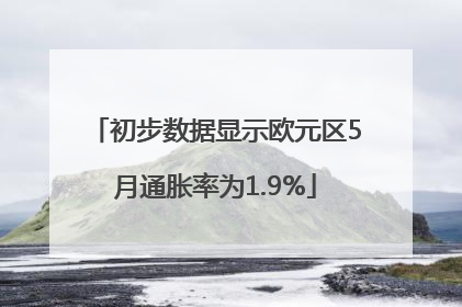 初步数据显示欧元区5月通胀率为1.9%