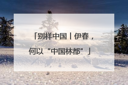 别样中国丨伊春，何以“中国林都”