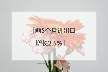 前5个月进出口增长2.5%