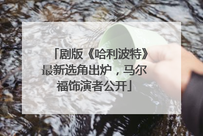 剧版《哈利波特》最新选角出炉，马尔福饰演者公开