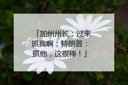 加州州长：过来抓我啊；特朗普：抓他，这很棒！