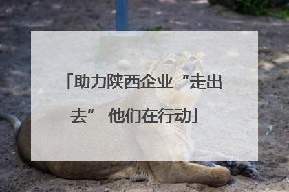 助力陕西企业“走出去” 他们在行动