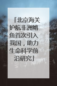 北京海关护航非洲鳉鱼首次引入我国，助力生命科学前沿研究