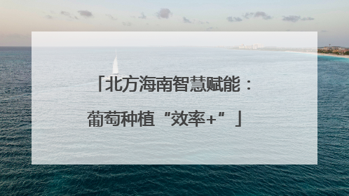 北方海南智慧赋能：葡萄种植“效率+”