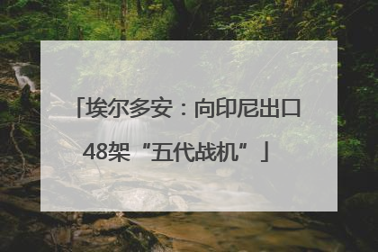 埃尔多安：向印尼出口48架“五代战机”