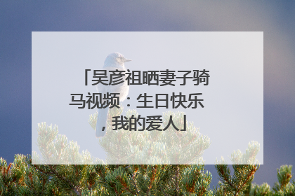 吴彦祖晒妻子骑马视频：生日快乐，我的爱人