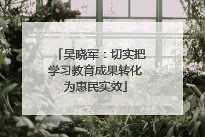 吴晓军：切实把学习教育成果转化为惠民实效
