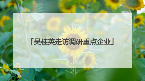吴桂英走访调研重点企业