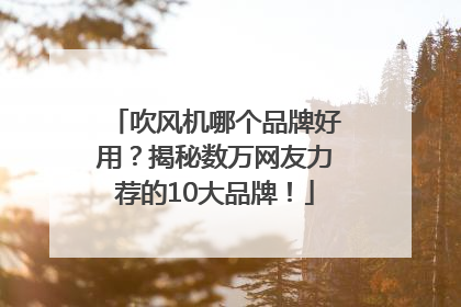 吹风机哪个品牌好用？揭秘数万网友力荐的10大品牌！