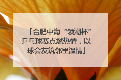 合肥中海“领潮杯”乒乓球赛点燃热情，以球会友筑邻里温情