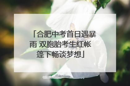 合肥中考首日遇暴雨 双胞胎考生红帐篷下畅谈梦想