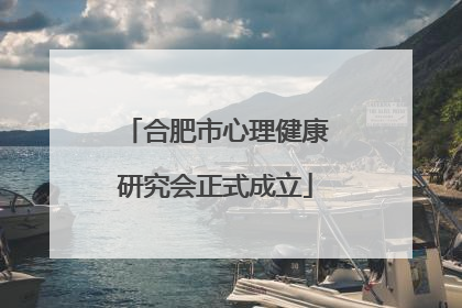 合肥市心理健康研究会正式成立
