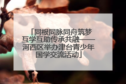 同根同脉同舟筑梦 互学互助传承共融——河西区举办津台青少年国学交流活动