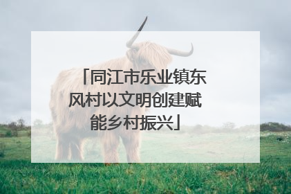 同江市乐业镇东风村以文明创建赋能乡村振兴