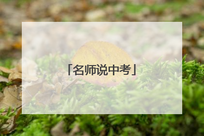名师说中考