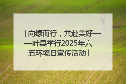 向绿而行,共赴美好——叶县举行2025年六五环境日宣传活动