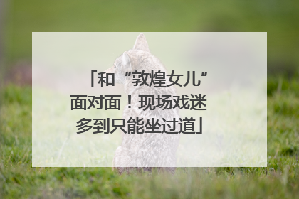 和“敦煌女儿”面对面！现场戏迷多到只能坐过道