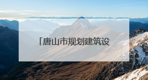 唐山市规划建筑设计研究院串标被罚