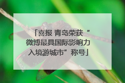 喜报 青岛荣获“微博最具国际影响力入境游城市”称号