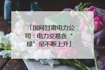 国网甘肃电力公司：电力交易含“绿”量不断上升