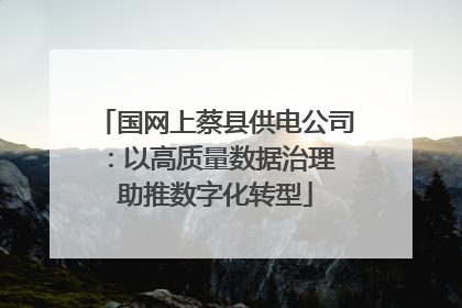 国网上蔡县供电公司：以高质量数据治理 助推数字化转型