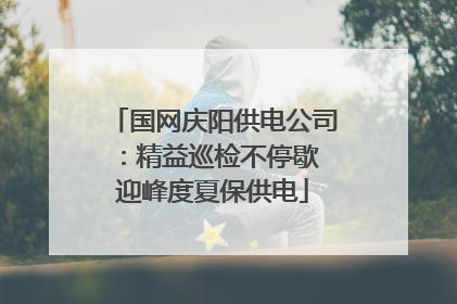 国网庆阳供电公司：精益巡检不停歇 迎峰度夏保供电