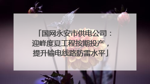 国网永安市供电公司：迎峰度夏工程按期投产，提升输电线路防雷水平