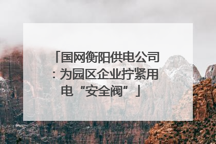 国网衡阳供电公司：为园区企业拧紧用电“安全阀”