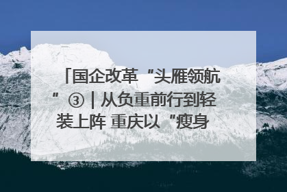 国企改革“头雁领航”③｜从负重前行到轻装上阵 重庆以“瘦身”谋“健体”