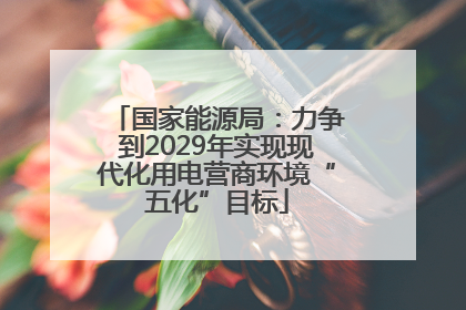国家能源局：力争到2029年实现现代化用电营商环境“五化”目标