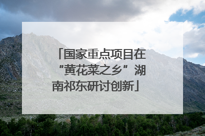 国家重点项目在“黄花菜之乡”湖南祁东研讨创新