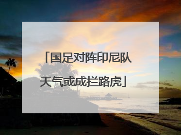 国足对阵印尼队 天气或成拦路虎