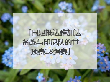 国足抵达雅加达备战与印尼队的世预赛18强赛