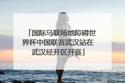 国际马联场地障碍世界杯中国联赛武汉站在武汉经开区开赛