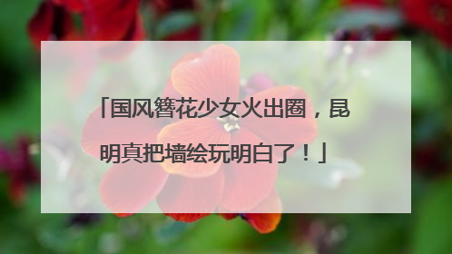 国风簪花少女火出圈，昆明真把墙绘玩明白了！