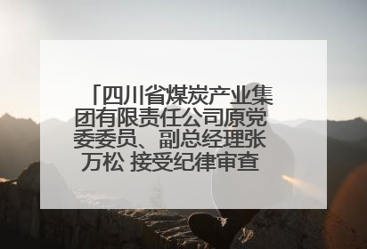 四川省煤炭产业集团有限责任公司原党委委员、副总经理张万松 接受纪律审查和监察调查
