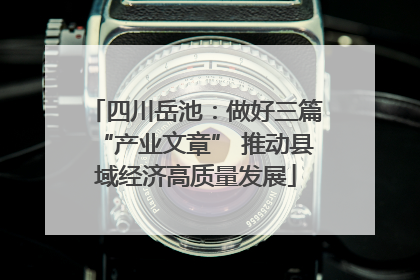四川岳池：做好三篇“产业文章” 推动县域经济高质量发展