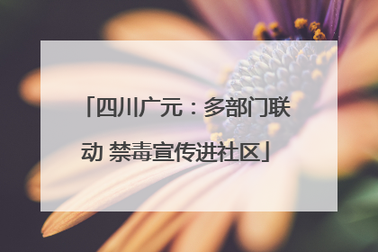 四川广元：多部门联动 禁毒宣传进社区