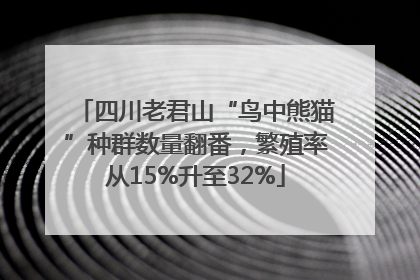 四川老君山“鸟中熊猫”种群数量翻番，繁殖率从15%升至32%