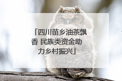 四川苗乡油茶飘香 民族类资金助力乡村振兴