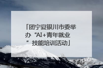 团宁夏银川市委举办“AI+青年就业”技能培训活动