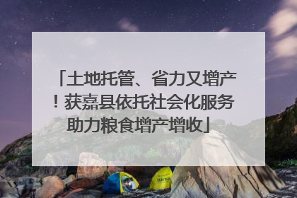 土地托管、省力又增产！获嘉县依托社会化服务助力粮食增产增收