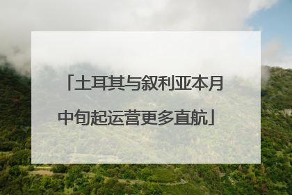 土耳其与叙利亚本月中旬起运营更多直航