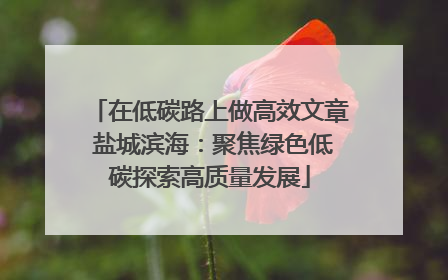 在低碳路上做高效文章 盐城滨海：聚焦绿色低碳探索高质量发展