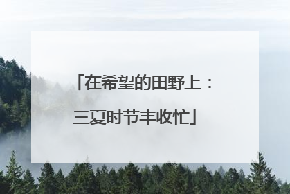 在希望的田野上：三夏时节丰收忙