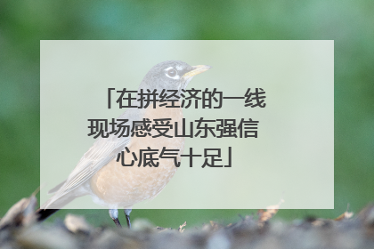 在拼经济的一线现场感受山东强信心底气十足