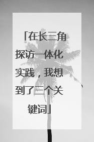 在长三角探访一体化实践，我想到了三个关键词